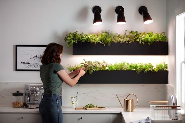 GE Grow Lights Kitchen Herbs