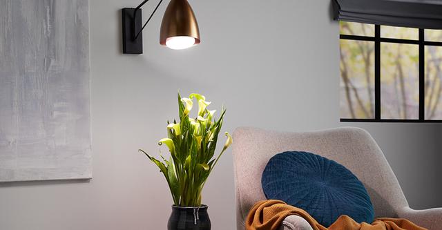 GE Grow Lights Living Area